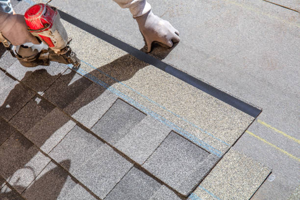 Best Solar Panel Roofing Installation  in Henderson, TN